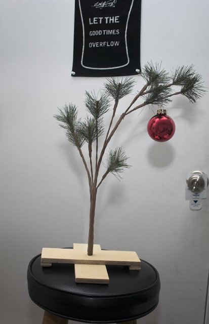 My Charlie Brown Christmas Tree