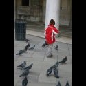 A little kid chasing pigeons.