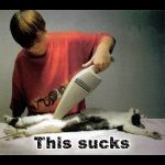 -thissucks