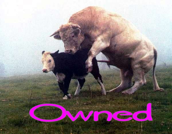 owned02