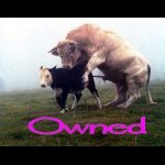 owned02