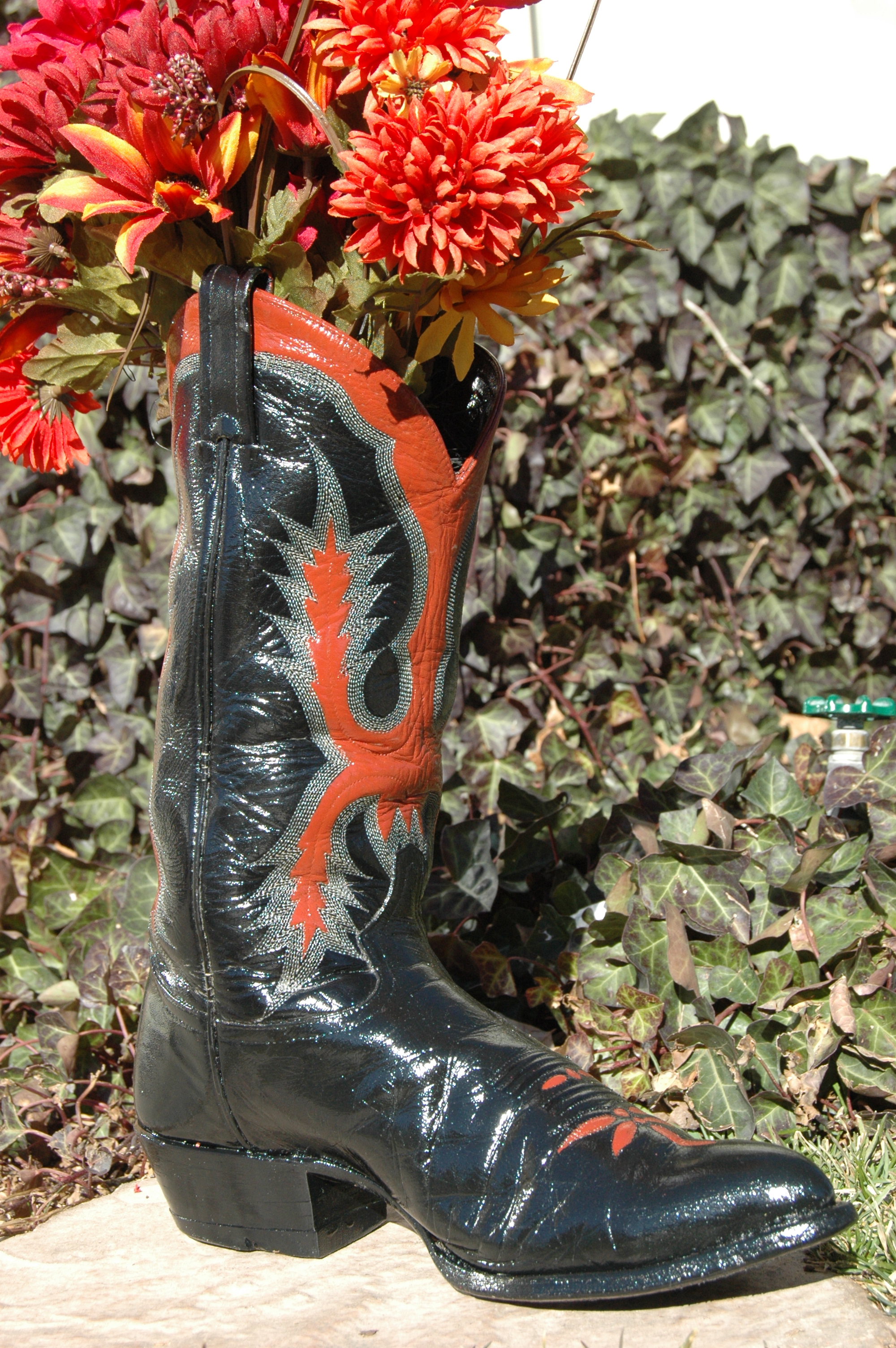 Boots 041.jpg